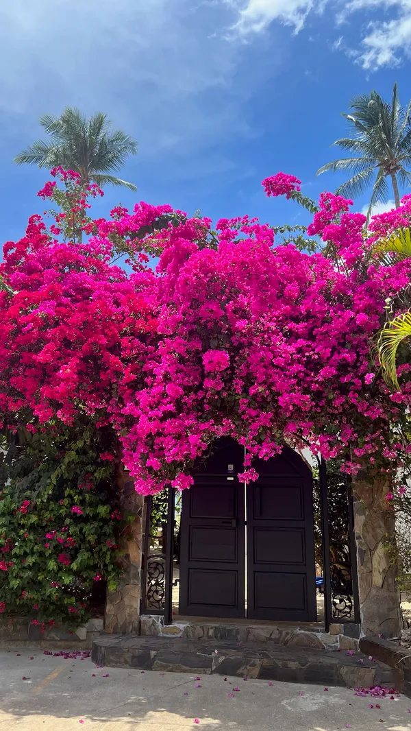 Tropical Garden Villa